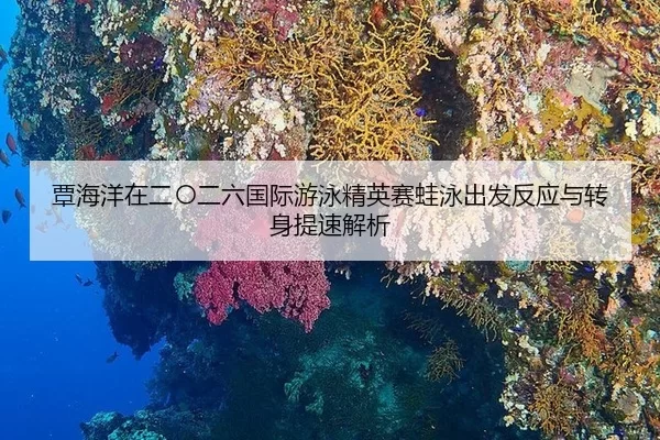 tan-hai-yang-zai-er-ling-er-liu-guo-ji-you-yong-jing-ying-sai-wa-yong-chu-fa-fan-ying-yu-zhuan-shen-ti-su-jie-xi-2-901.jpg
